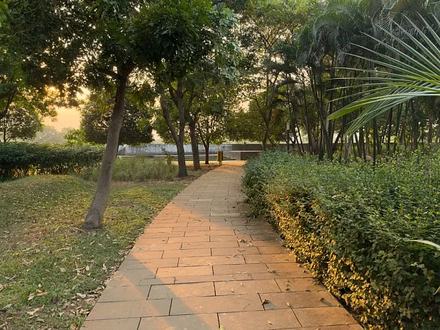 دیافراگم متغیر