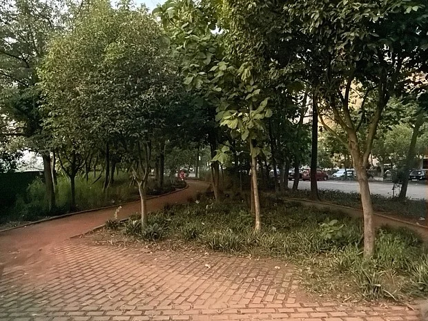 دیافراگم متغیر