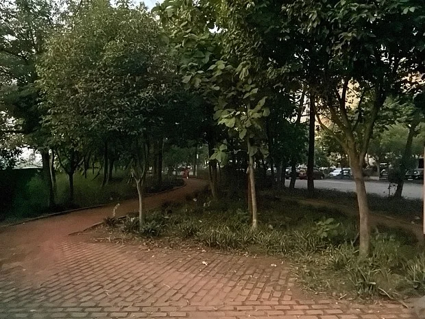 دیافراگم متغیر