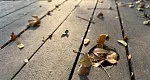 دیافراگم متغیر