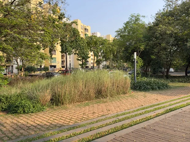 دیافراگم متغیر